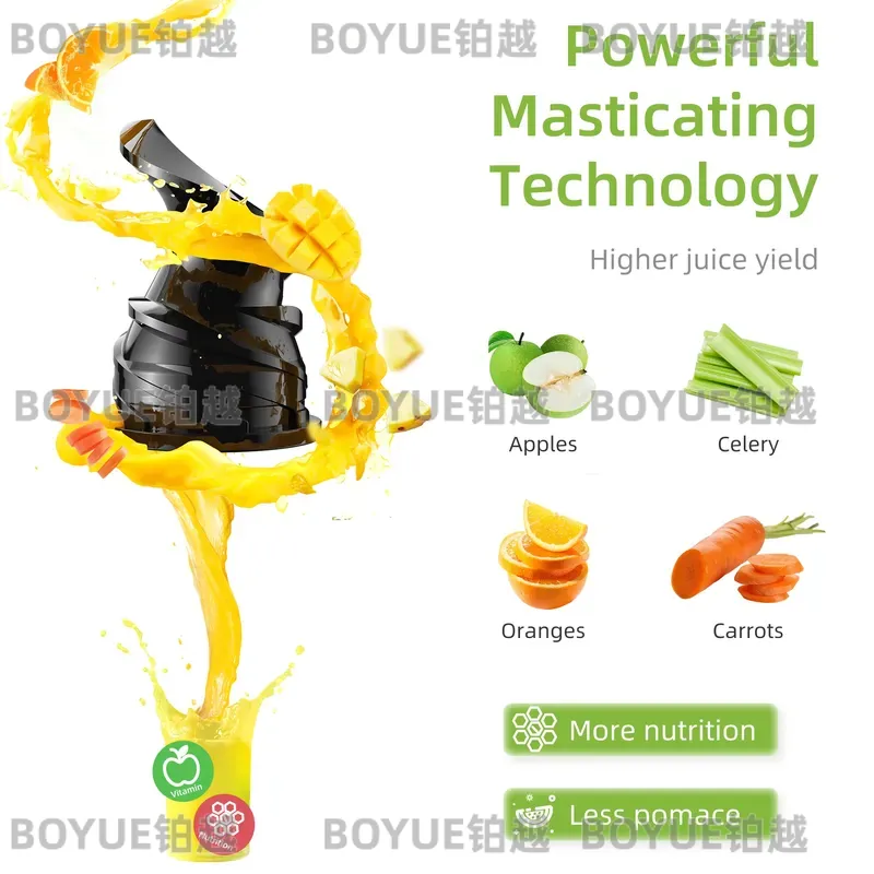 BioloMix Cold Press Juicer 78m - Juicer Cold Press Slow 评论和价格